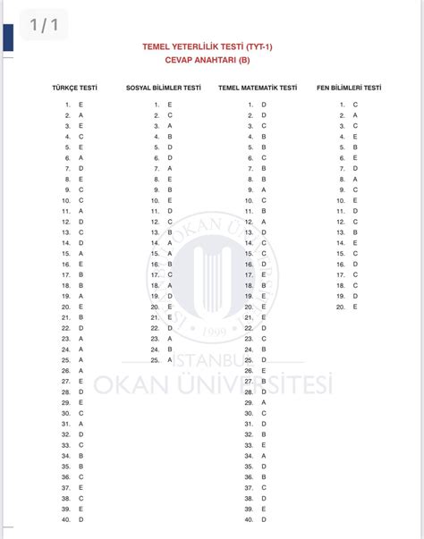 okan üniversitesi deneme sınavı pdf